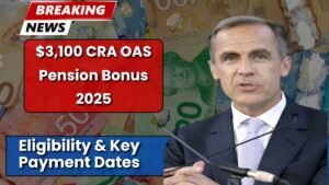 $3,100 CRA OAS Pension Bonus 2025: Eligibility & Key Payment Dates