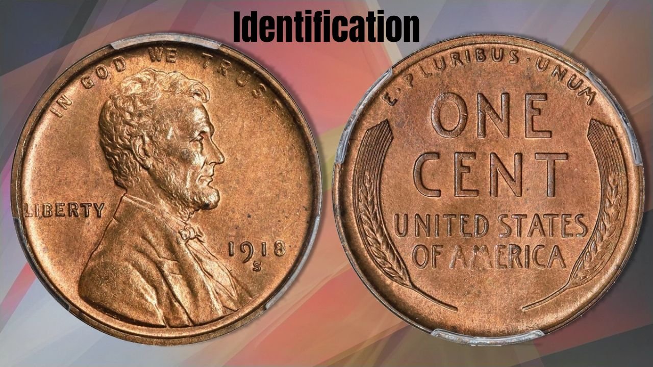 Identification
