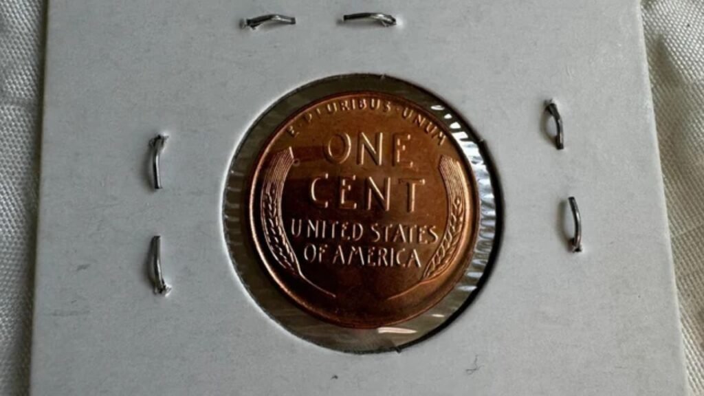 How to identify this rare coin?